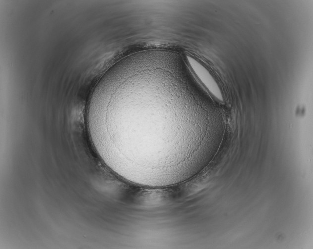 X0000089930127200707201849