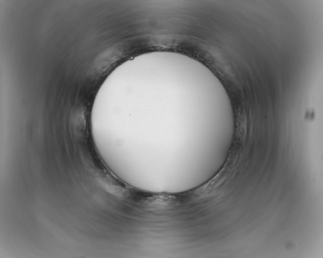 X0000089930128200707201849