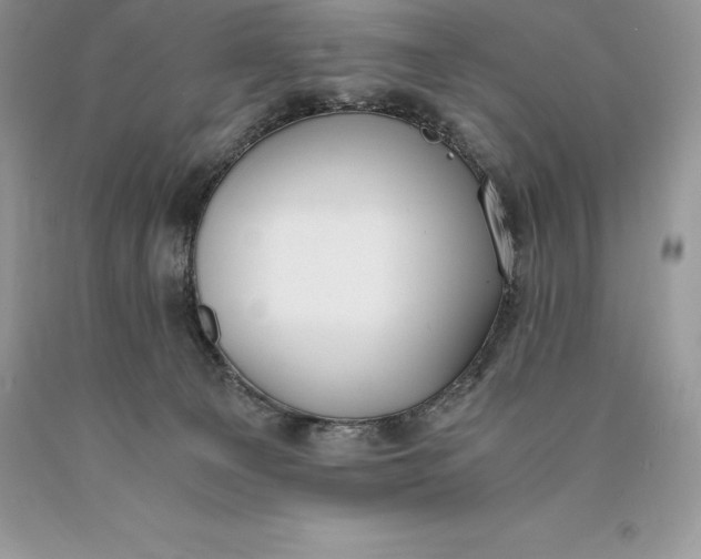 X0000089930129200707201849