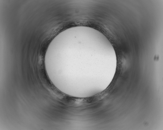 X0000089930130200707201849