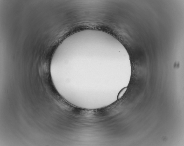 X0000089930131200707201849