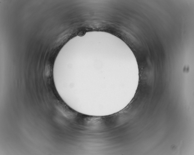 X0000089930132200707201849