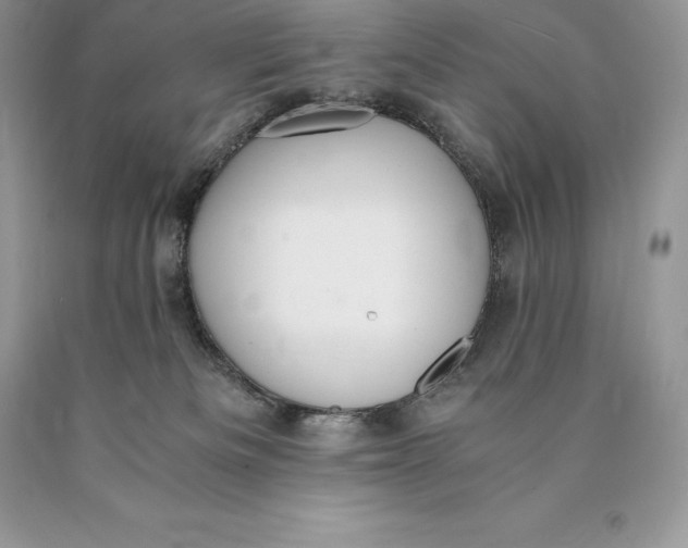 X0000089930133200707201849