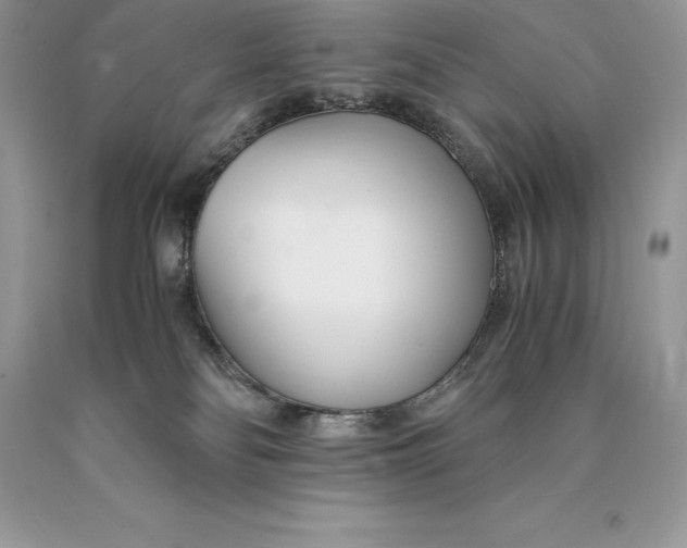 X0000089930134200707201849