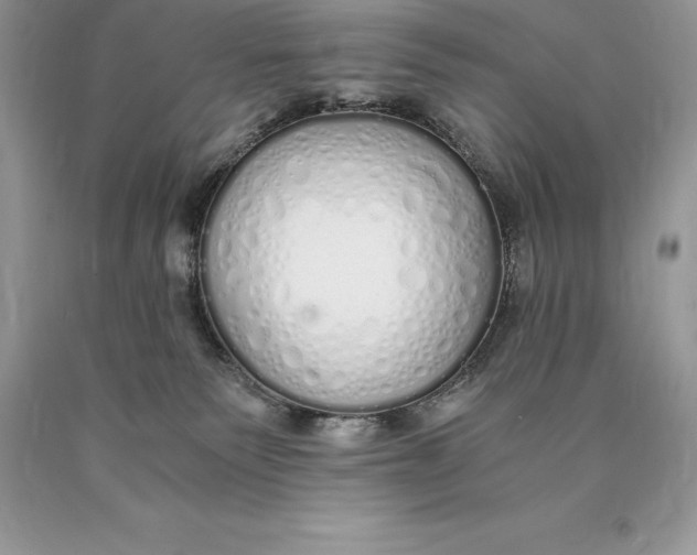 X0000089930135200707201849