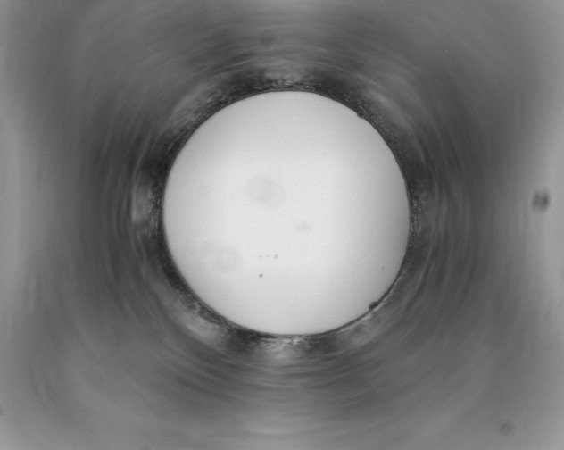 X0000089930136200707201849