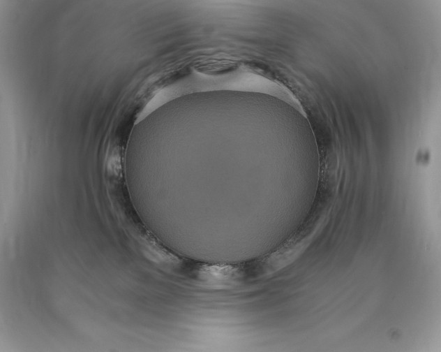 X0000089930137200707201849