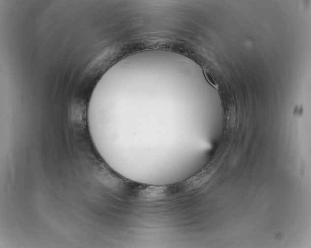 X0000089930138200707201849