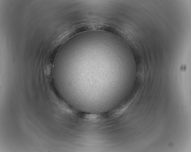 X0000089930139200707201848