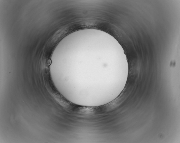 X0000089930140200707201848