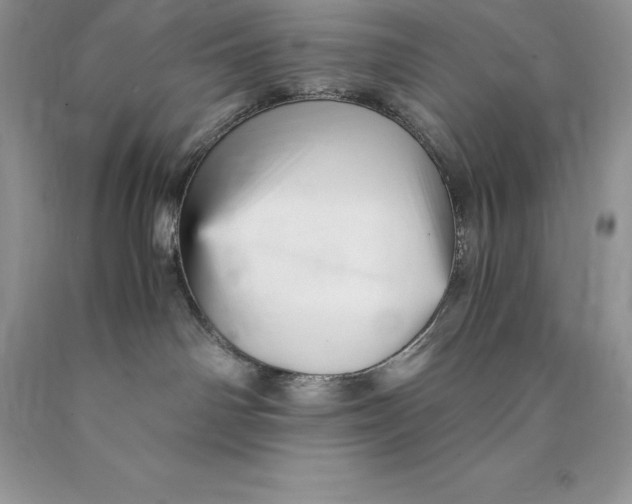 X0000089930142200707201848