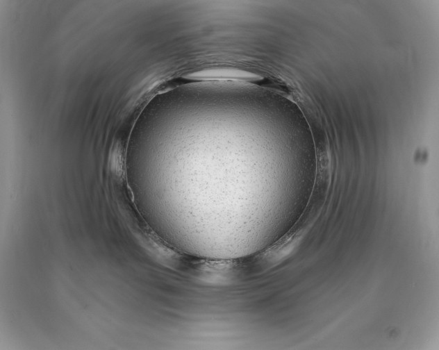 X0000089930143200707201848