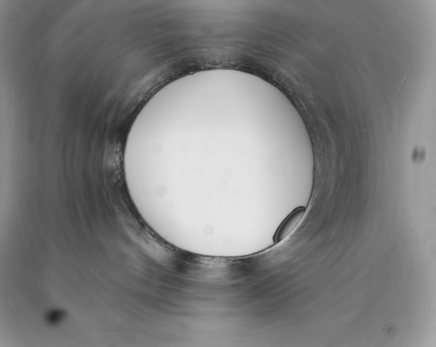 X0000089930144200707201848