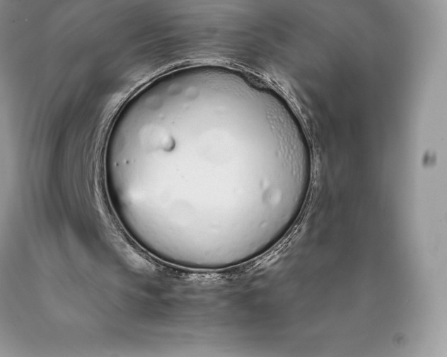 X0000089930145200707201848