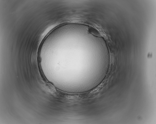 X0000089930147200707201848