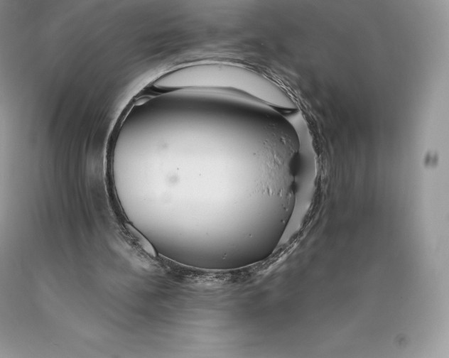 X0000089930148200707201848