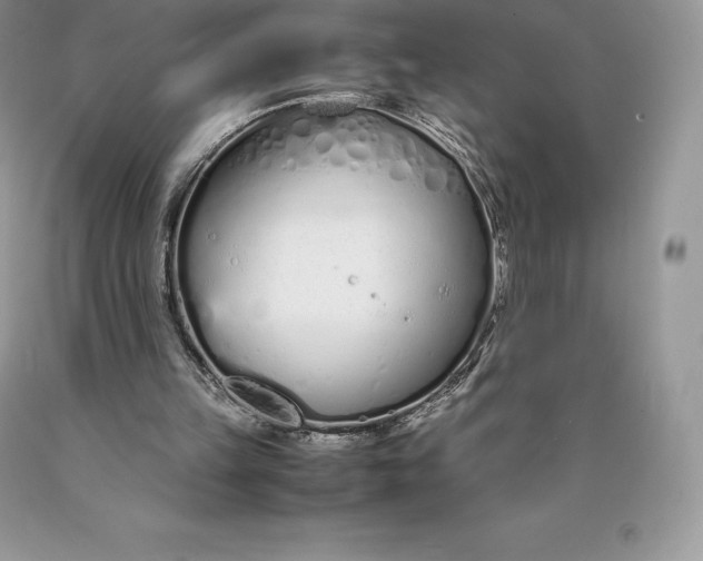 X0000089930149200707201848