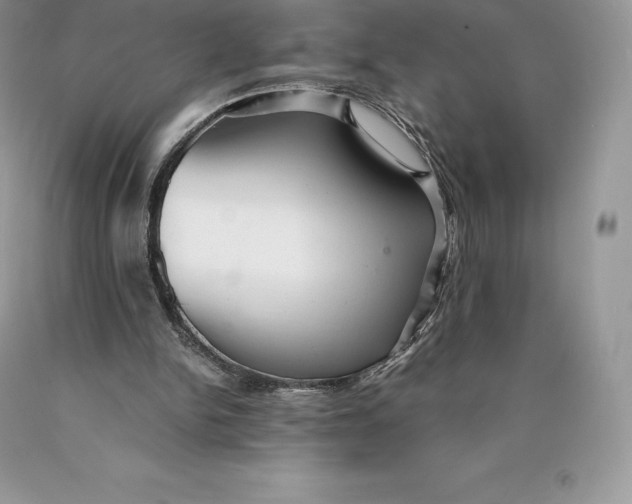 X0000089930150200707201848