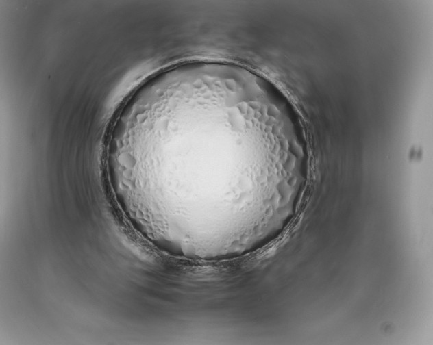 X0000089930151200707201848