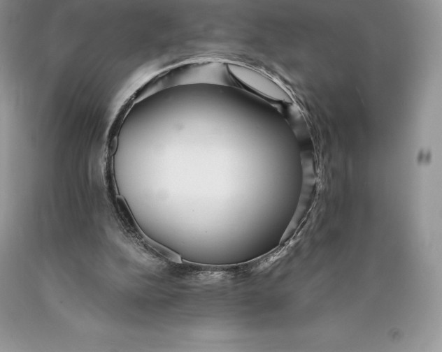 X0000089930152200707201848