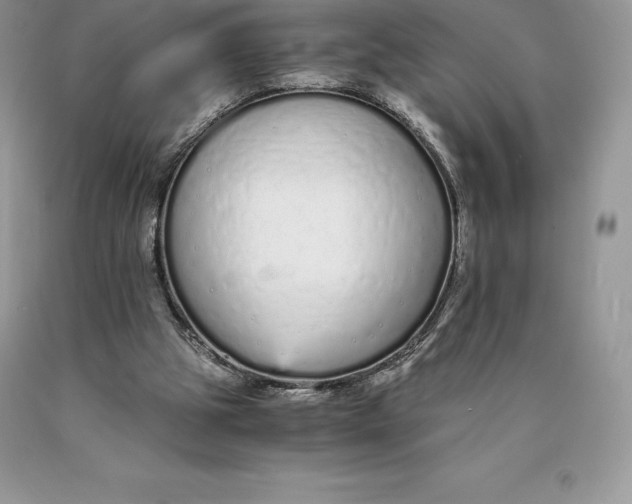 X0000089930153200707201848