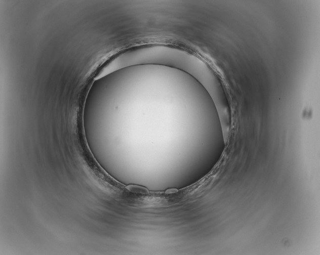 X0000089930154200707201848