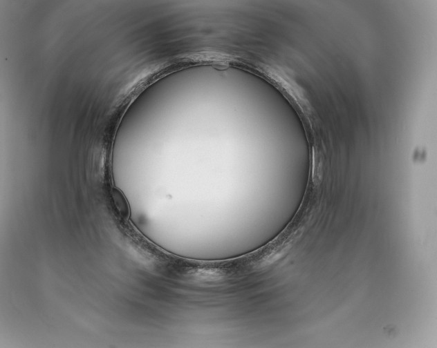 X0000089930157200707201848