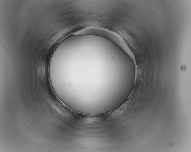 X0000089930158200707201848