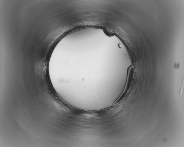 X0000089930160200707201848