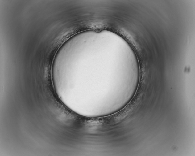 X0000089930161200707201848