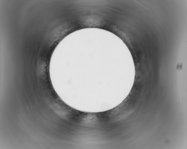 X0000089930162200707201848