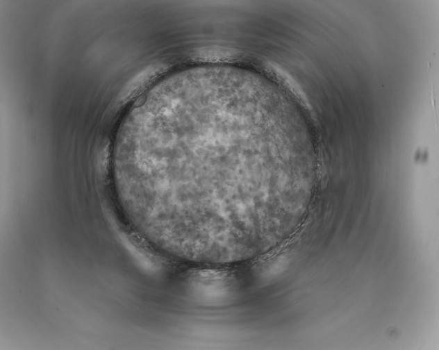 X0000089930163200707201848