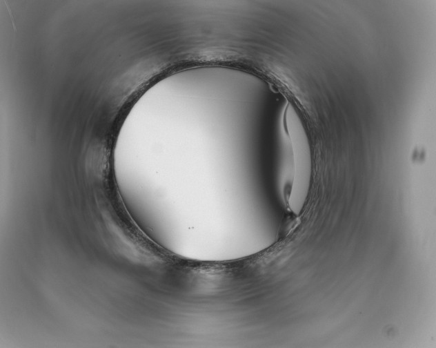 X0000089930164200707201848