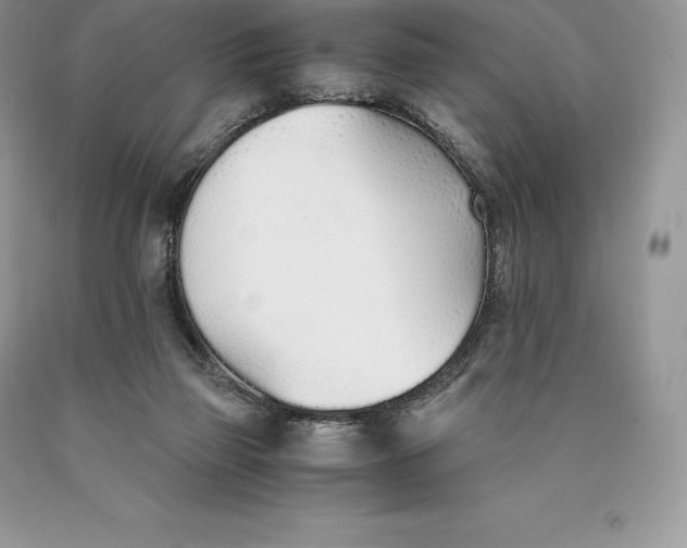 X0000089930165200707201848