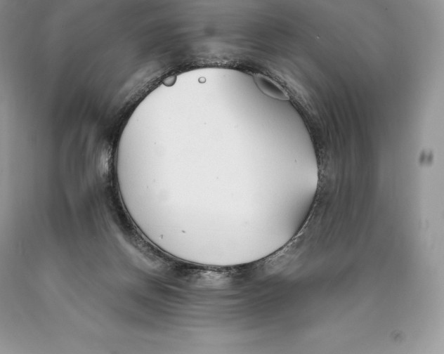 X0000089930166200707201848