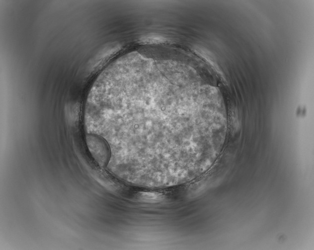 X0000089930167200707201848