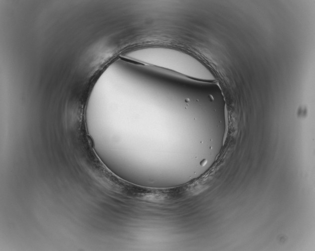 X0000089930168200707201848