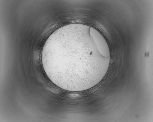 X0000089930169200707201848