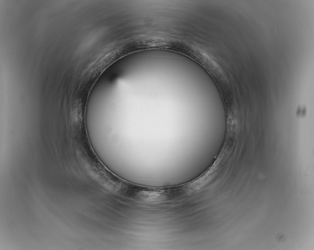 X0000089930170200707201848