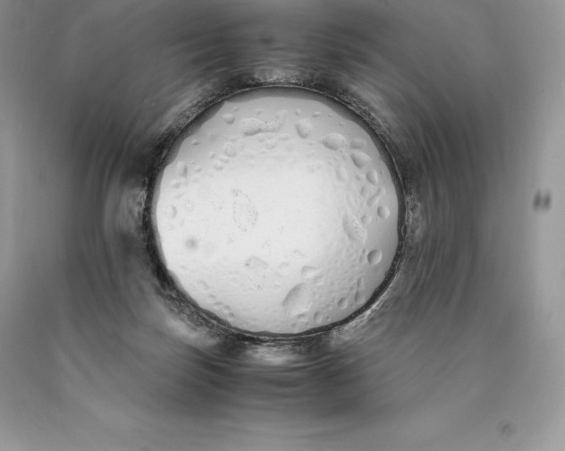 X0000089930171200707201848