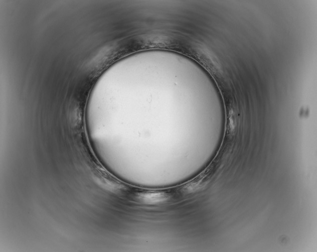 X0000089930173200707201848