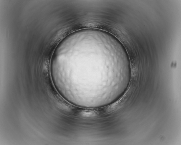 X0000089930175200707201848