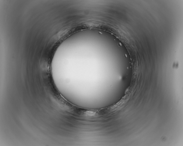 X0000089930176200707201848