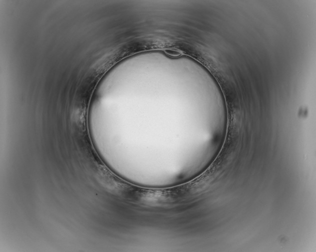 X0000089930177200707201848