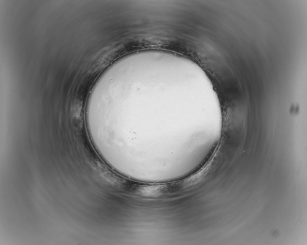 X0000089930178200707201848