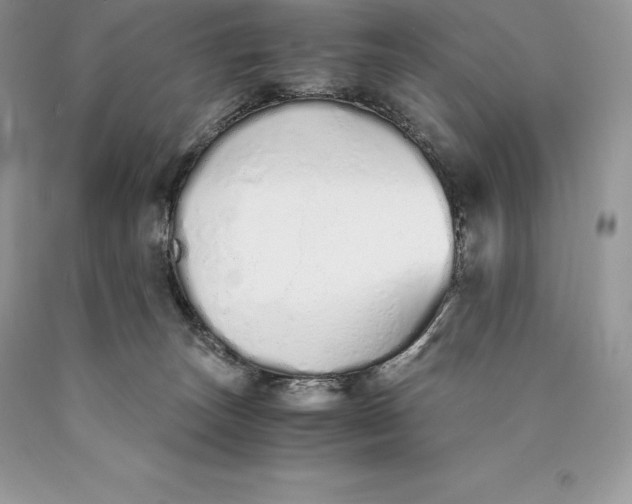 X0000089930179200707201848