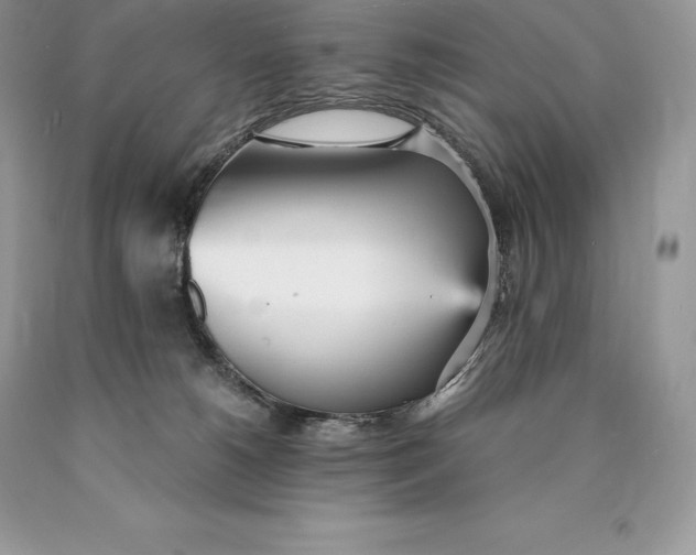 X0000089930180200707201848