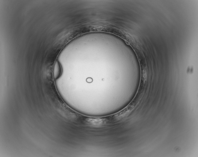 X0000089930181200707201848