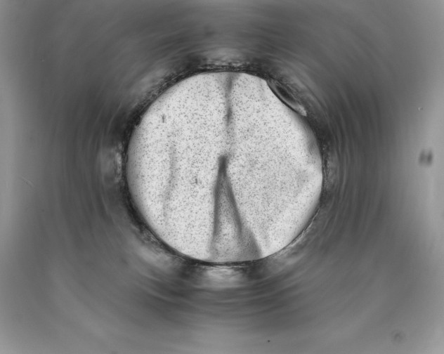 X0000089930183200707201848