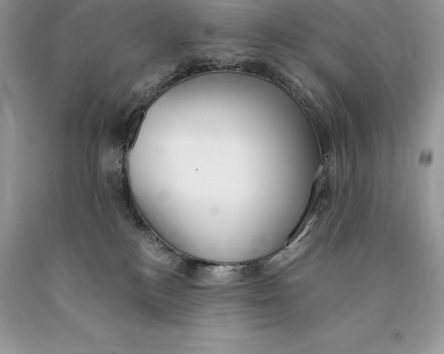 X0000089930184200707201848